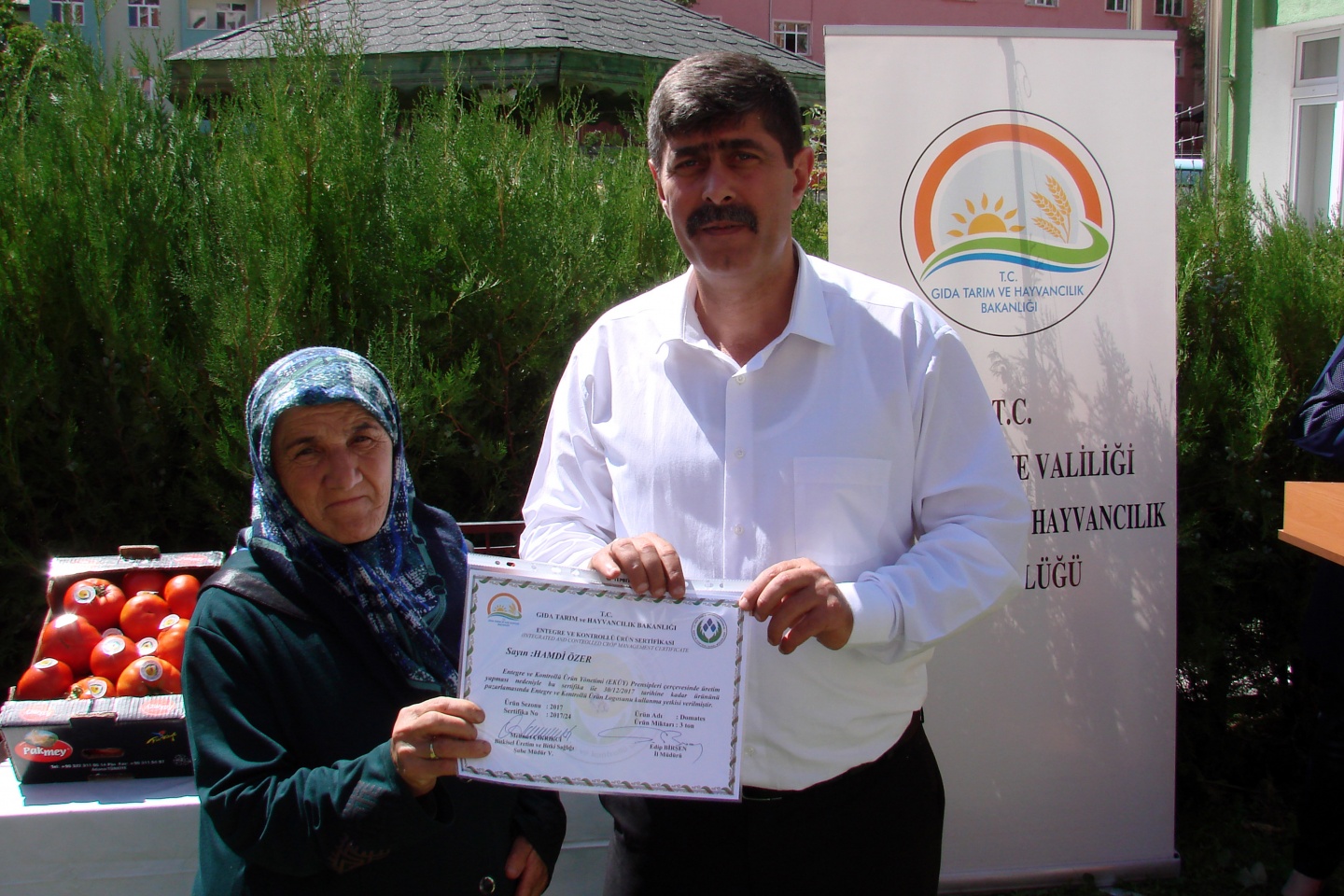 Gümüşhane’de yeni trend: Seracılık 20