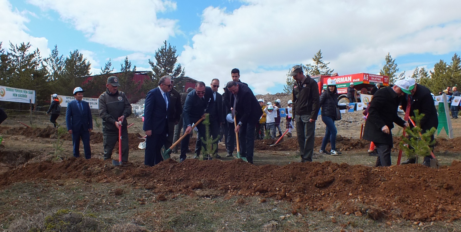 Fidanlar toprakla buluştu 2