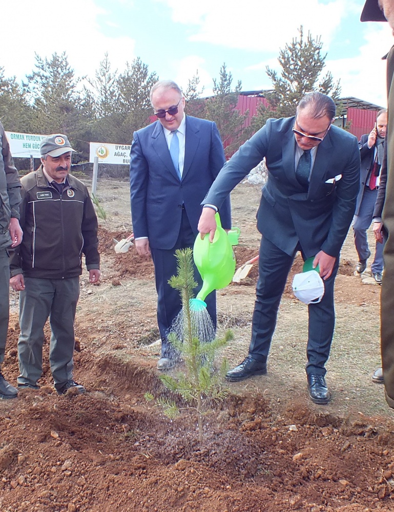 Fidanlar toprakla buluştu 1