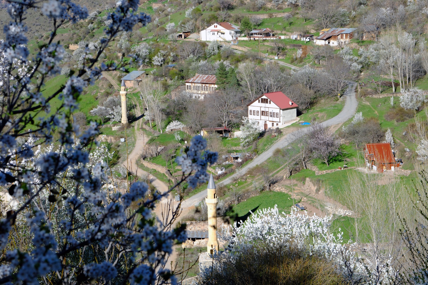 Tarihi mahallede bahar güzelliği | Süleymaniye çiçek açtı 28