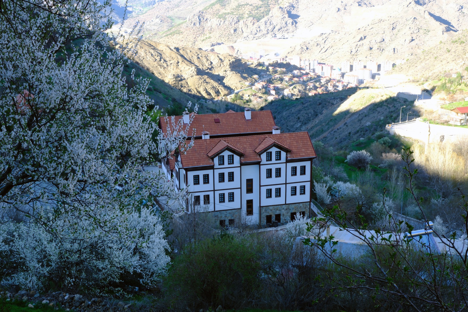 Tarihi mahallede bahar güzelliği | Süleymaniye çiçek açtı 24