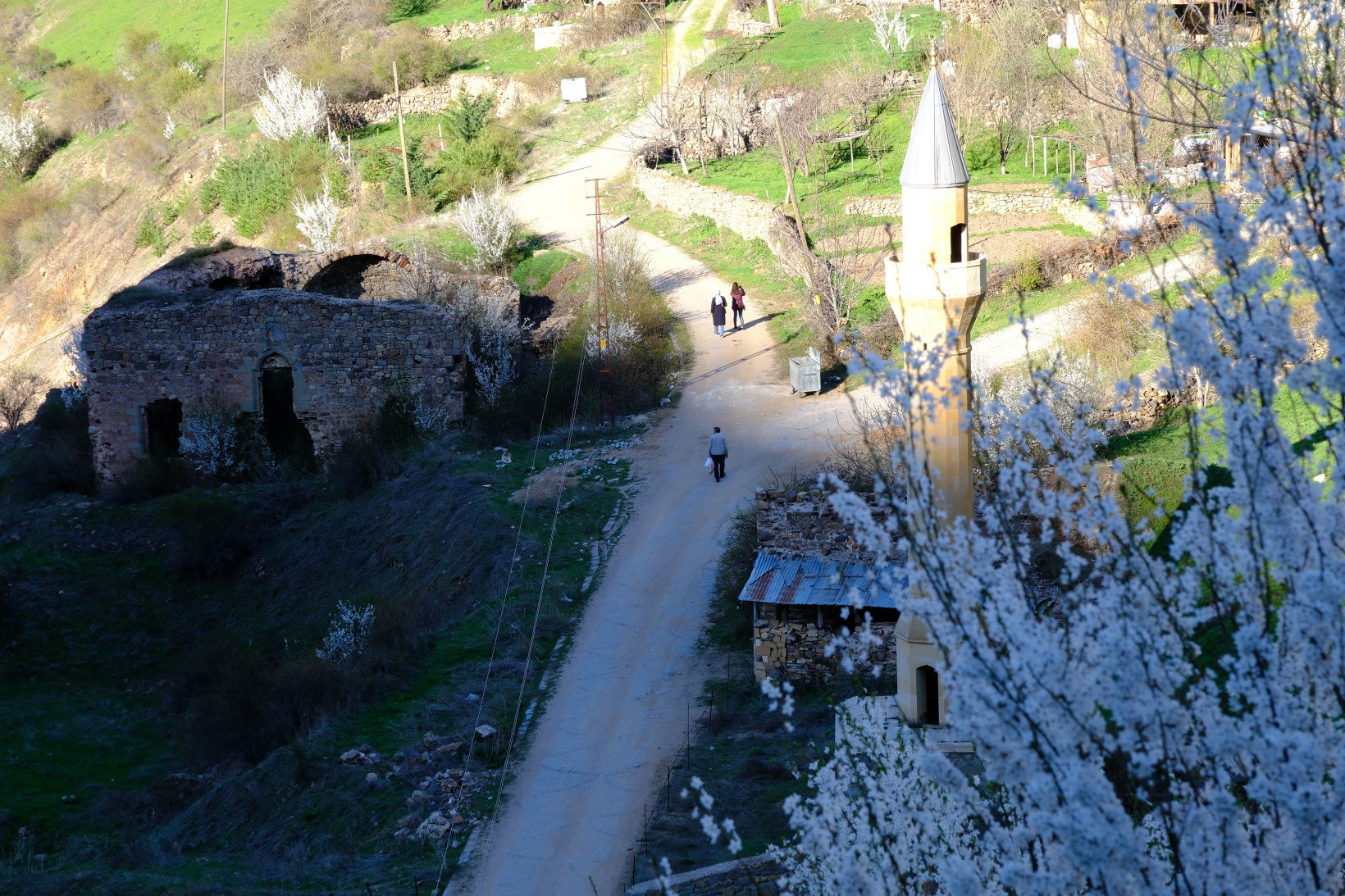 Tarihi mahallede bahar güzelliği | Süleymaniye çiçek açtı 14