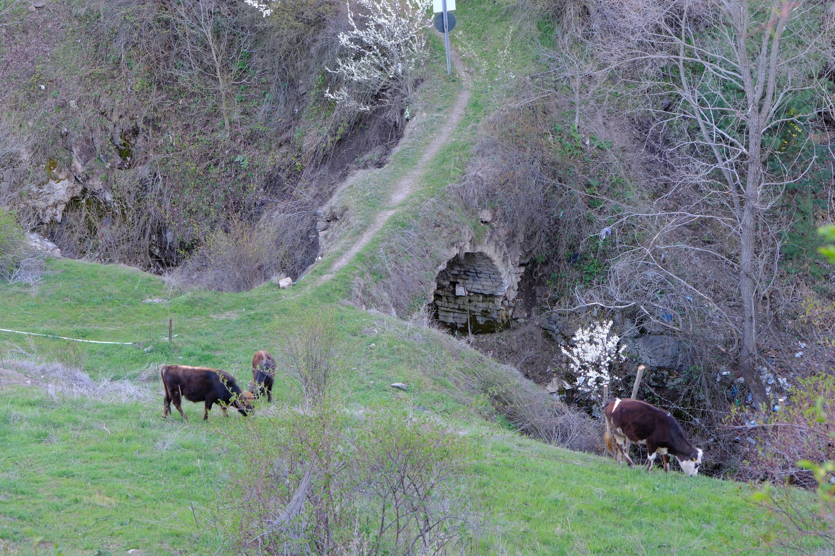 Tarihi mahallede bahar güzelliği | Süleymaniye çiçek açtı 30