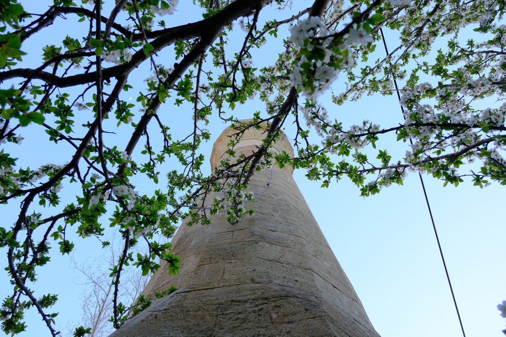 Tarihi mahallede bahar güzelliği | Süleymaniye çiçek açtı 17