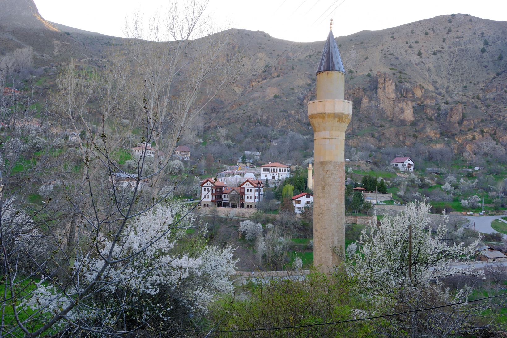 Tarihi mahallede bahar güzelliği | Süleymaniye çiçek açtı 8