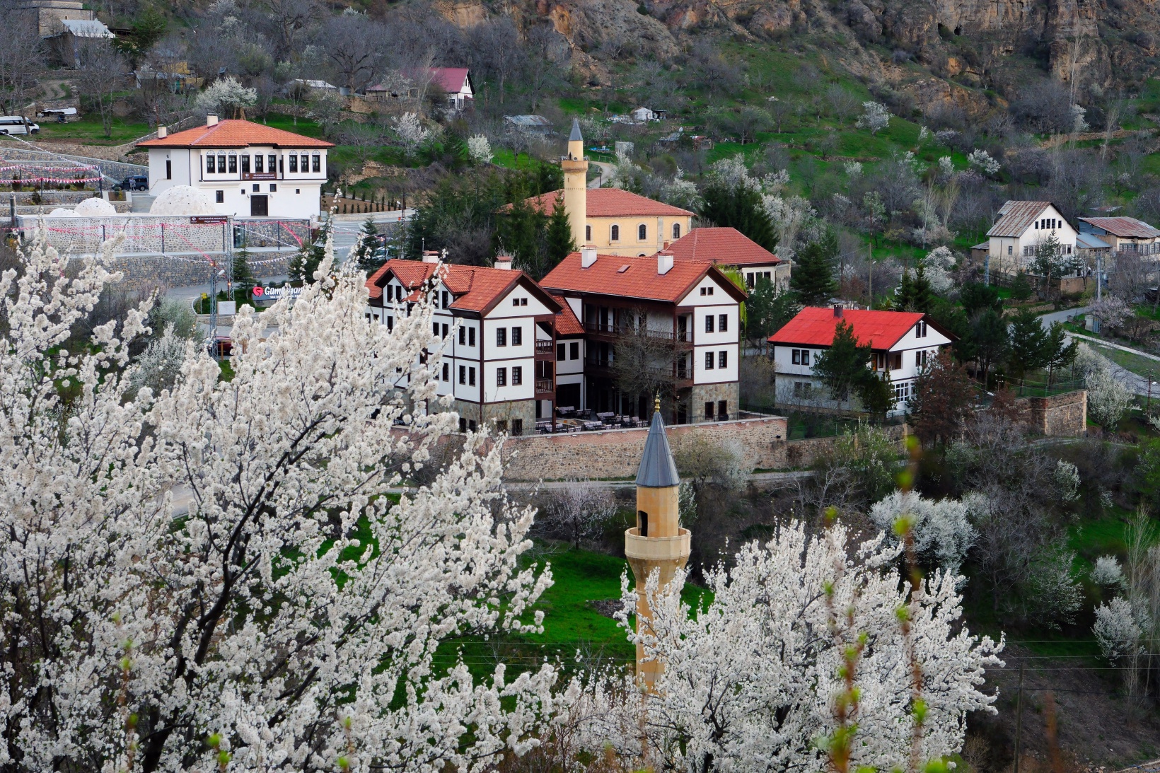 Tarihi mahallede bahar güzelliği | Süleymaniye çiçek açtı 40