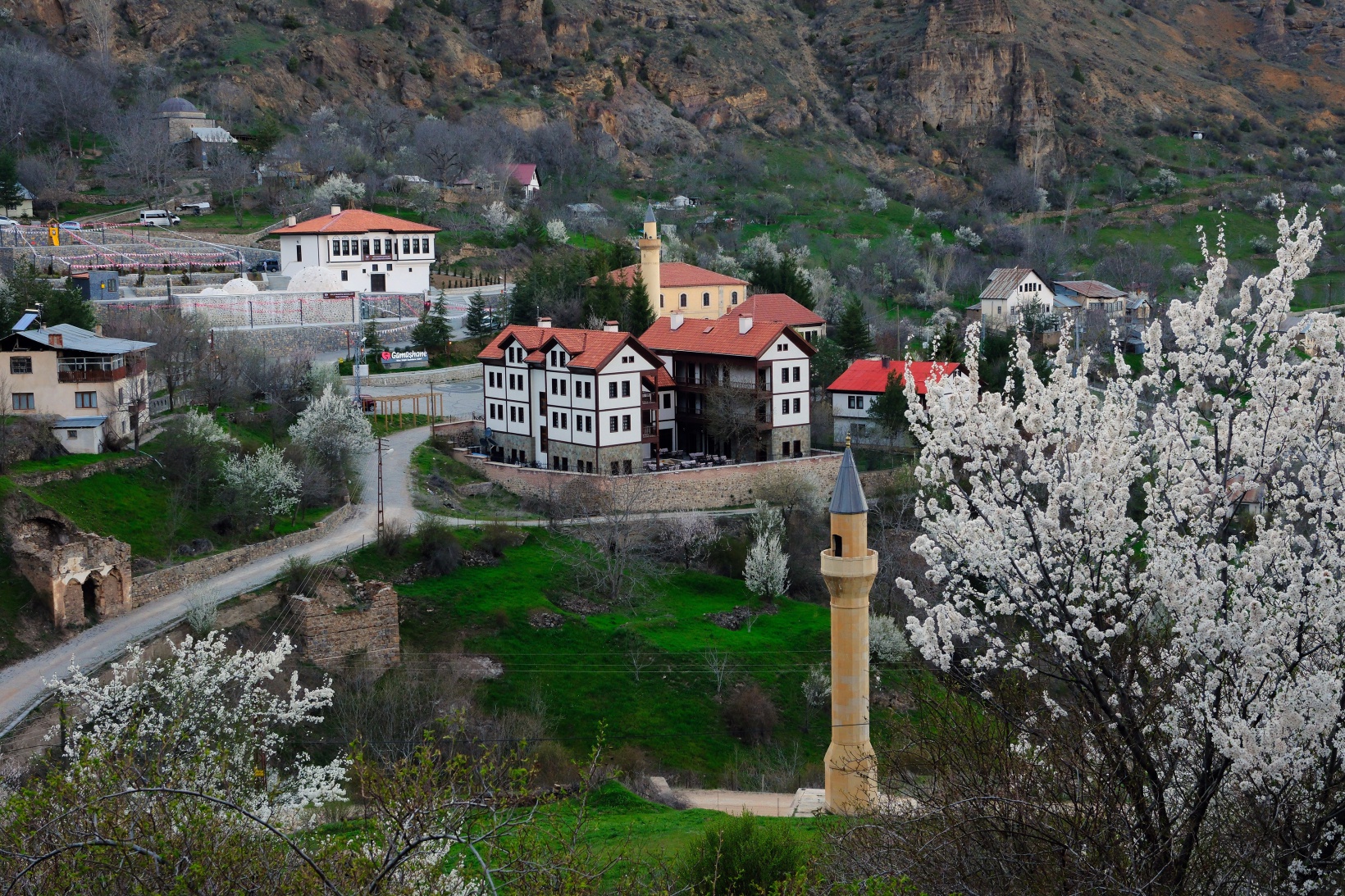 Tarihi mahallede bahar güzelliği | Süleymaniye çiçek açtı 11