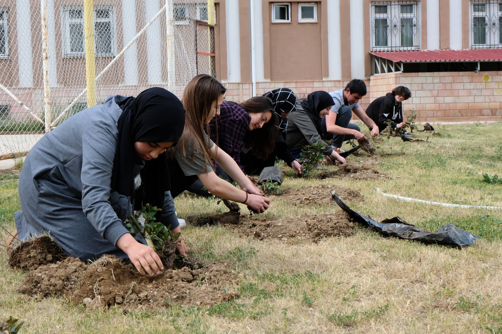 Fen Lisesine 75 gül fidanı dikildi 12