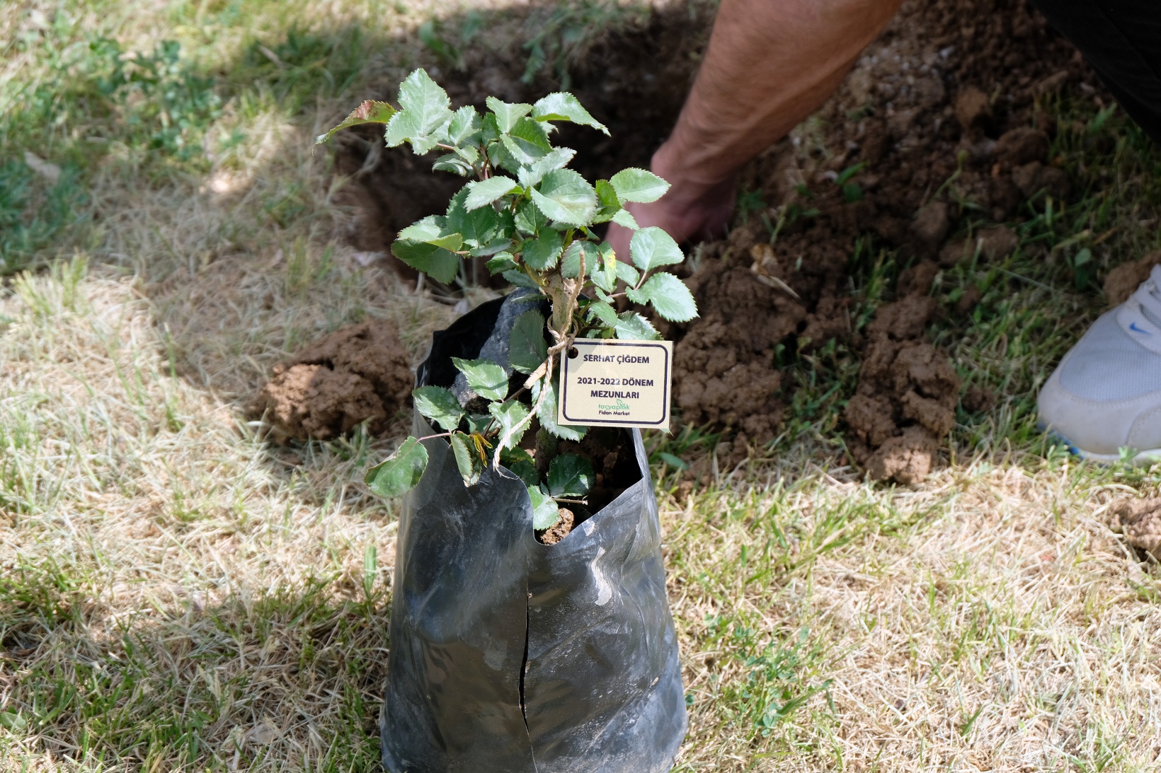 Fen Lisesine 75 gül fidanı dikildi 10
