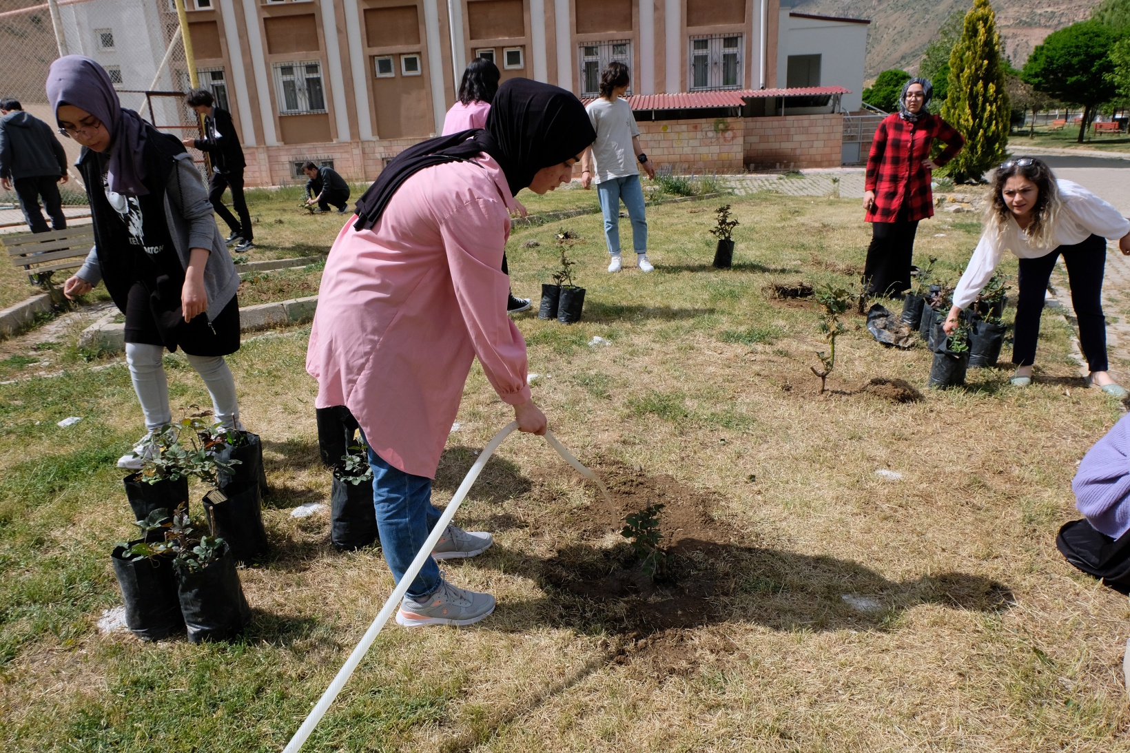 Fen Lisesine 75 gül fidanı dikildi 18