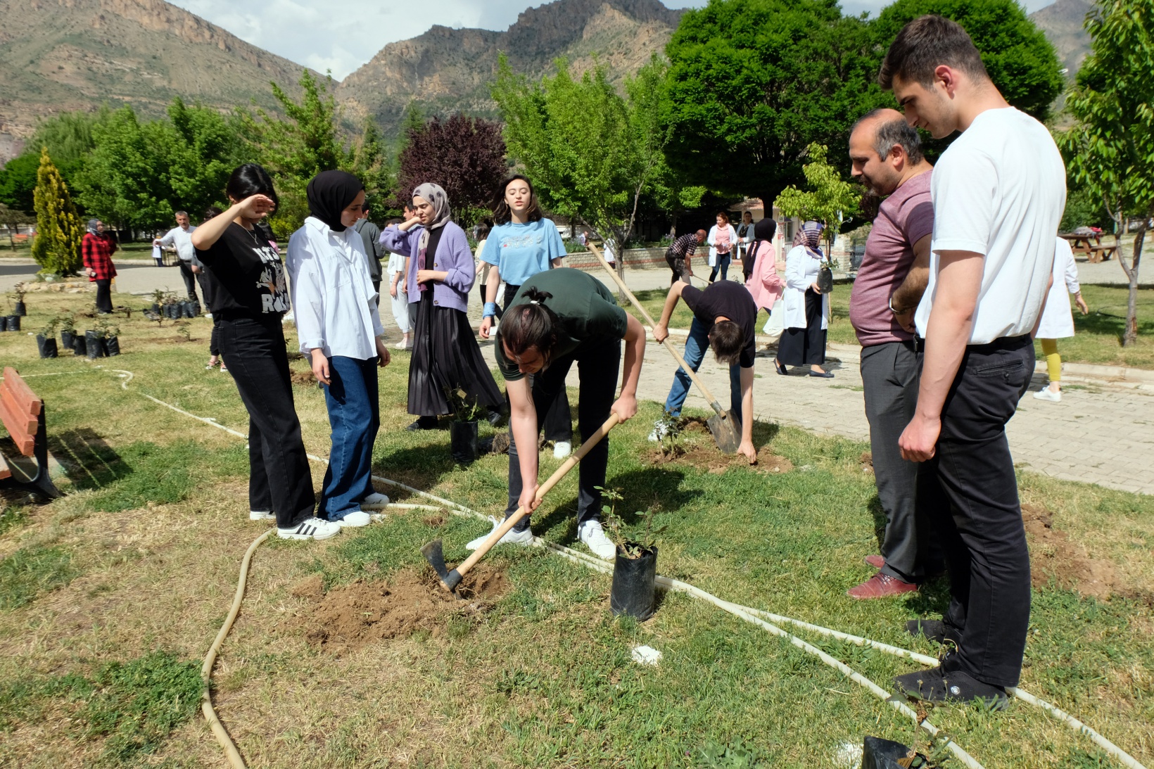 Fen Lisesine 75 gül fidanı dikildi 15