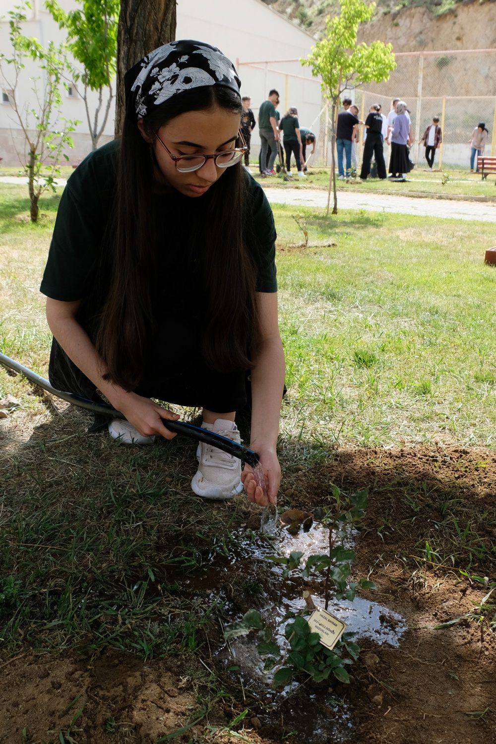 Fen Lisesine 75 gül fidanı dikildi 11