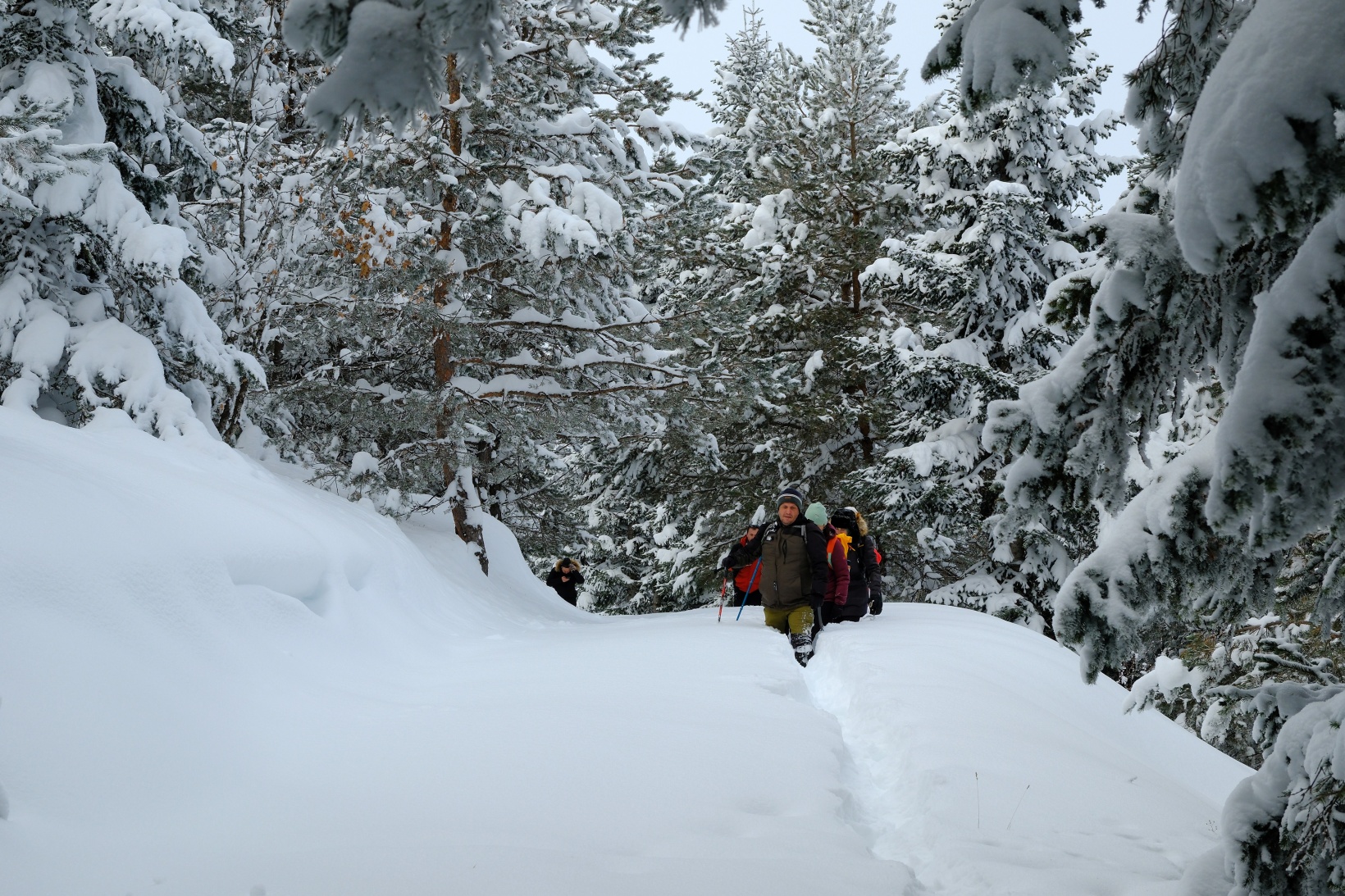 Gümüşhane'nin zirvelerinde kutupları aratmayan yürüyüş 51