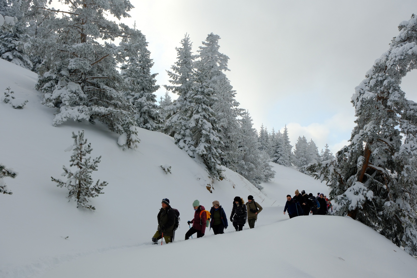 Gümüşhane'nin zirvelerinde kutupları aratmayan yürüyüş 26