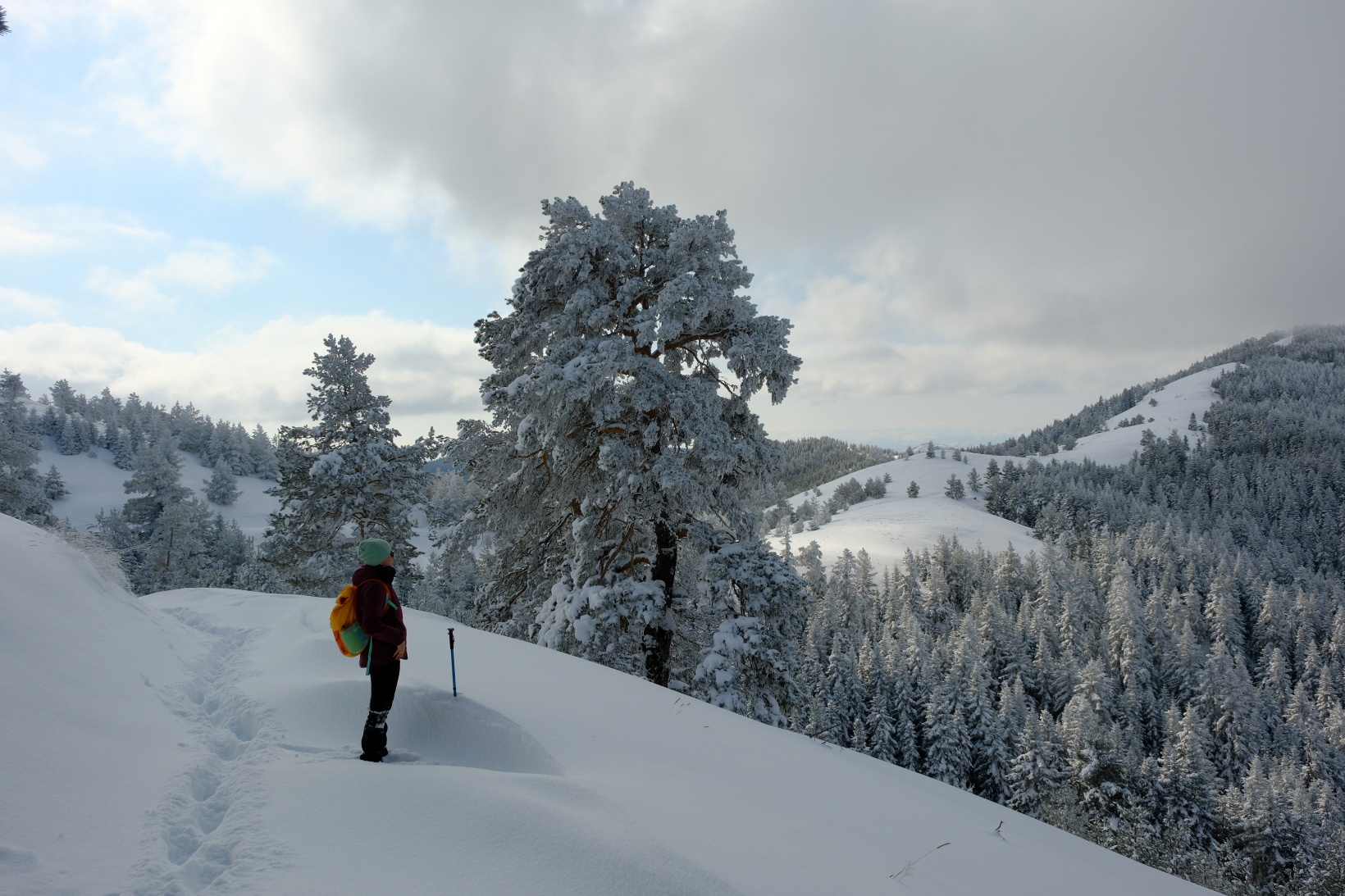 Gümüşhane'nin zirvelerinde kutupları aratmayan yürüyüş 55