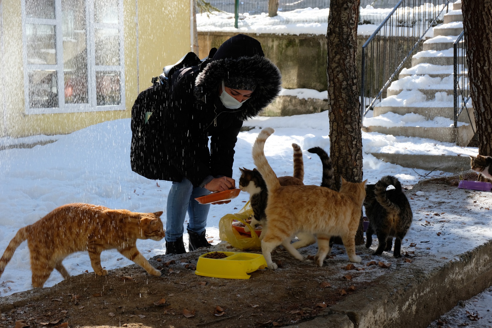Hayvansever psikolog örnek oluyor 12