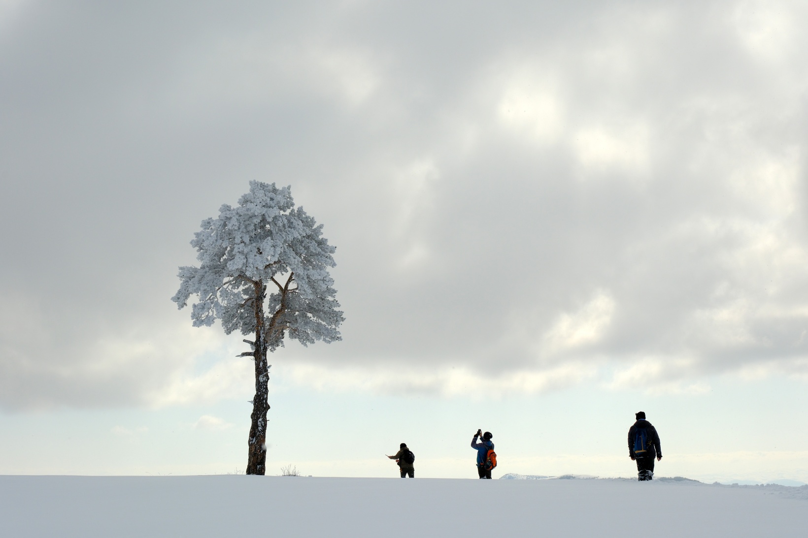 Gümüşhane'nin zirvelerinde kutupları aratmayan yürüyüş 1