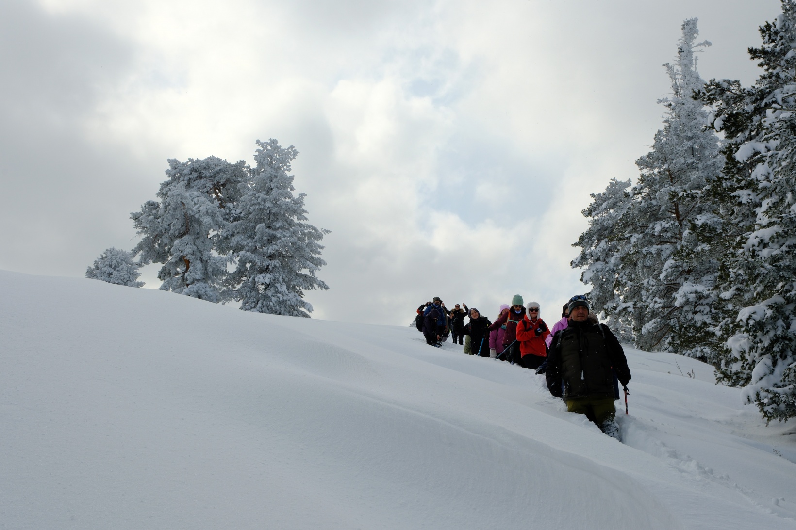 Gümüşhane'nin zirvelerinde kutupları aratmayan yürüyüş 17