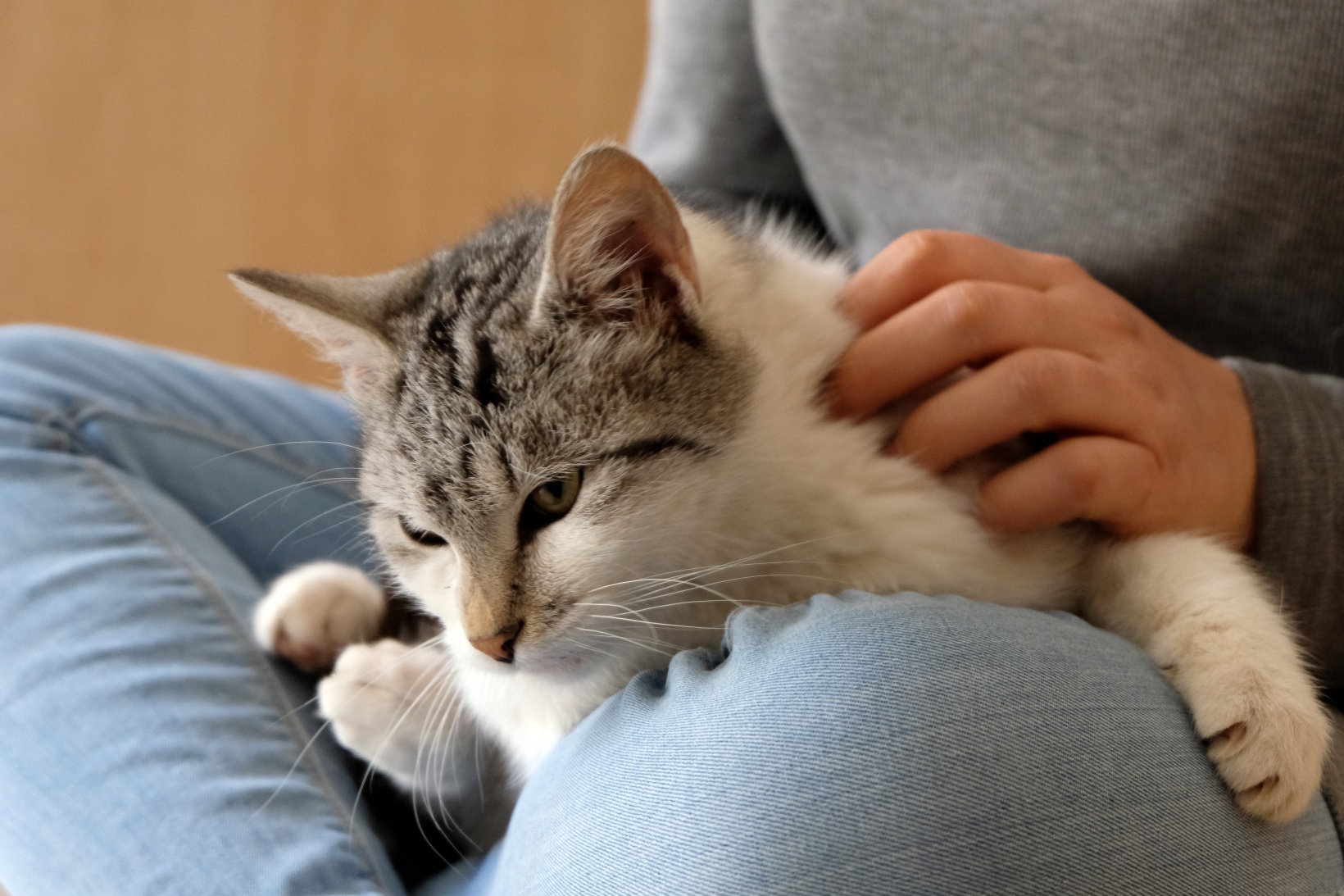 Hayvansever psikolog örnek oluyor 7