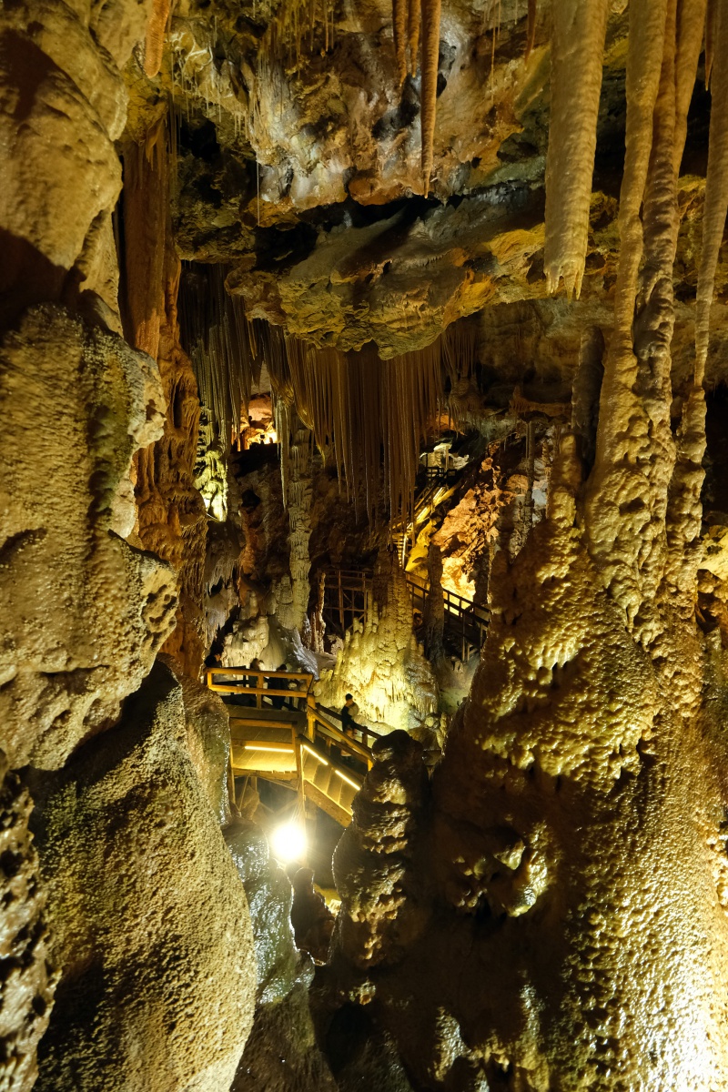 Gümüşhane tarihinde bir ilki yaşadı 20