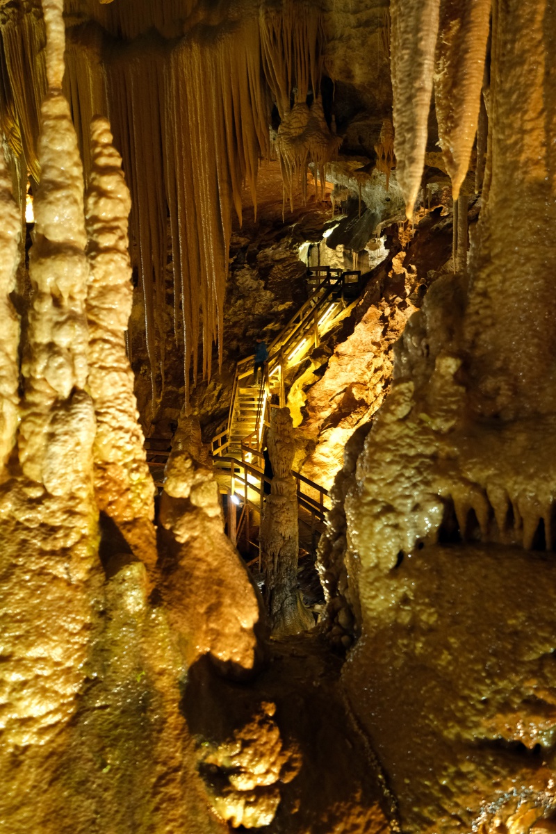 Gümüşhane tarihinde bir ilki yaşadı 15