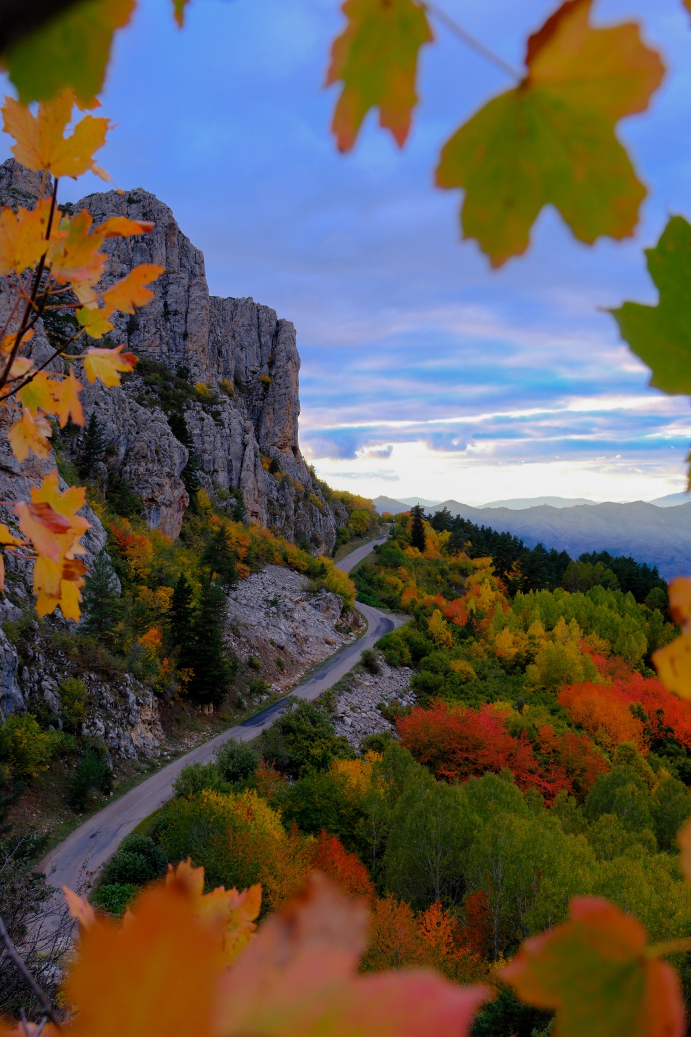Gümüşhane sonbaharın altın renklerine büründü 1