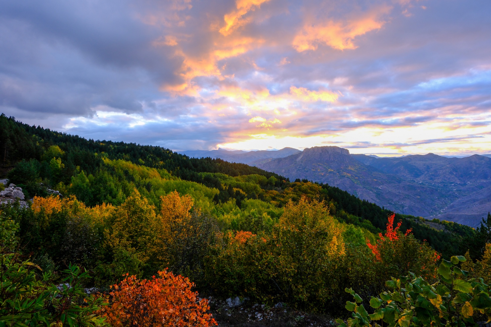 Gümüşhane sonbaharın altın renklerine büründü 2