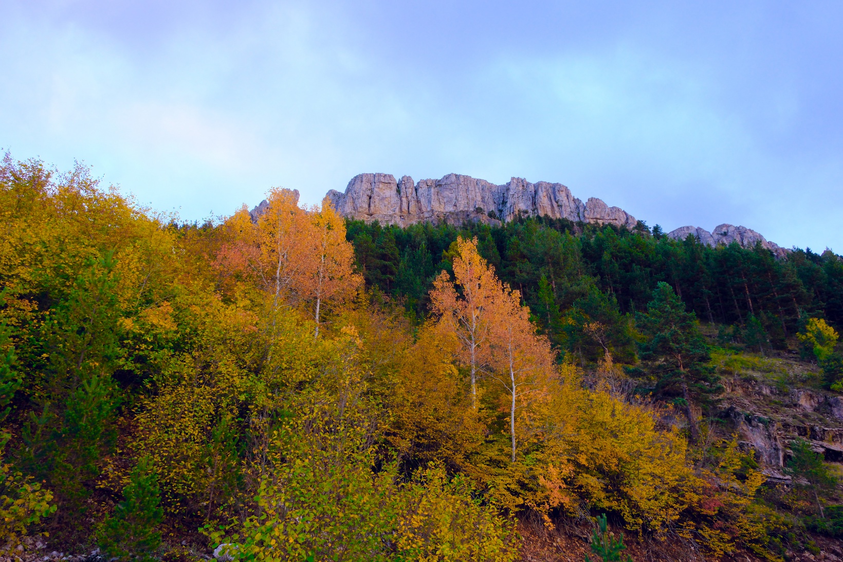 Gümüşhane sonbaharın altın renklerine büründü 10