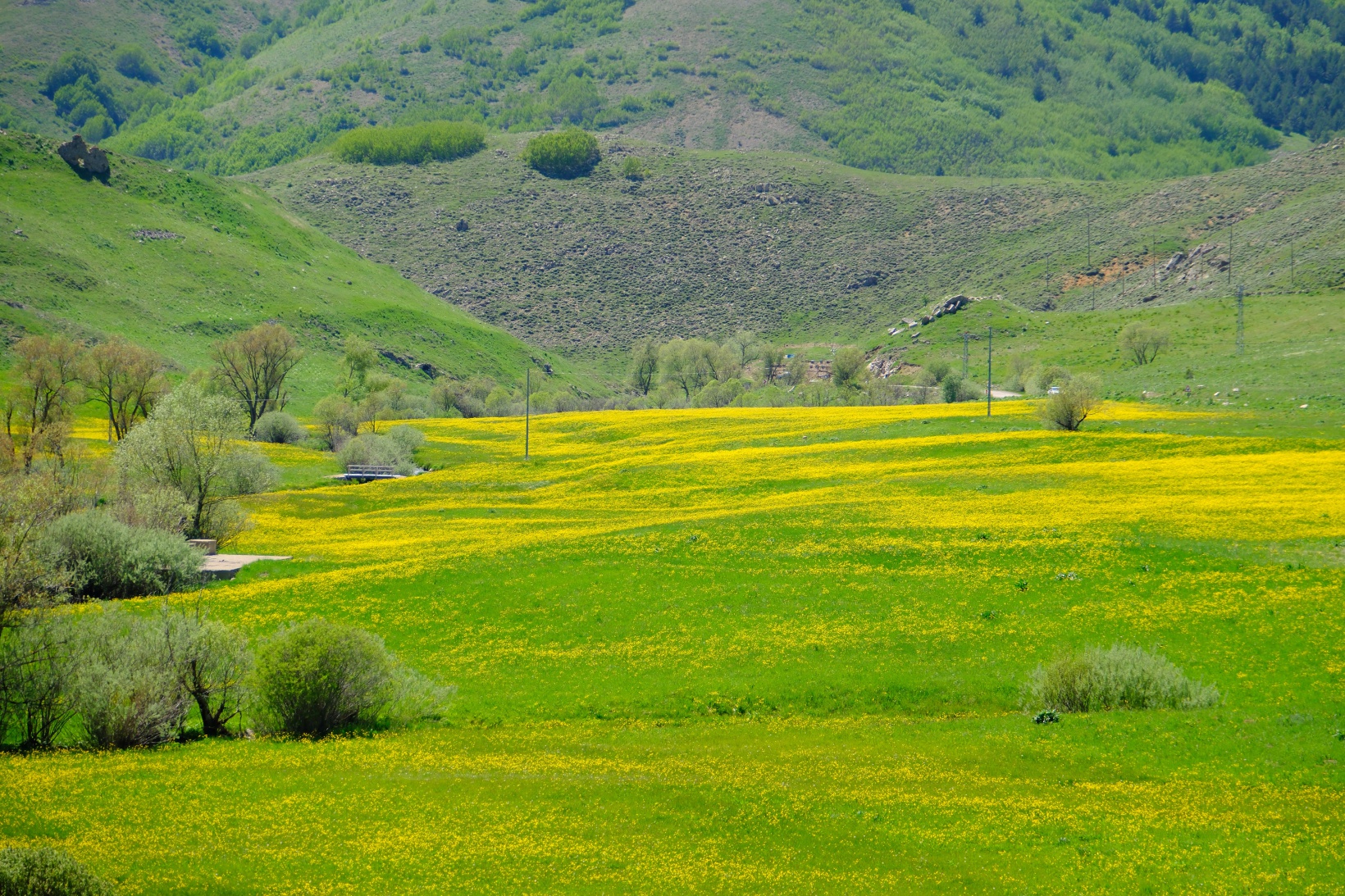 Sarıçiçek Köyü'nde 20 günlük doğa şöleni başladı 17