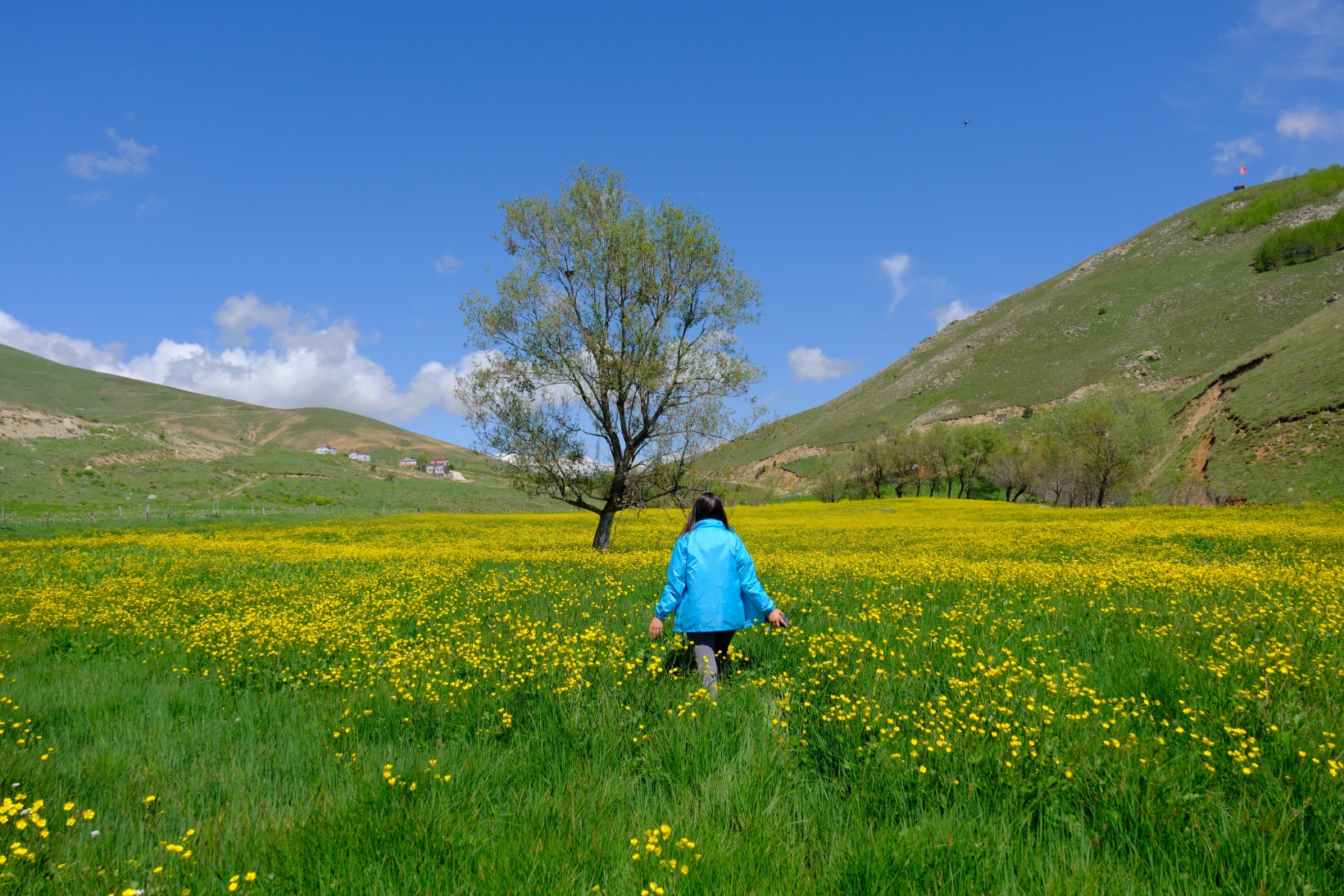 Sarıçiçek Köyü'nde 20 günlük doğa şöleni başladı 9