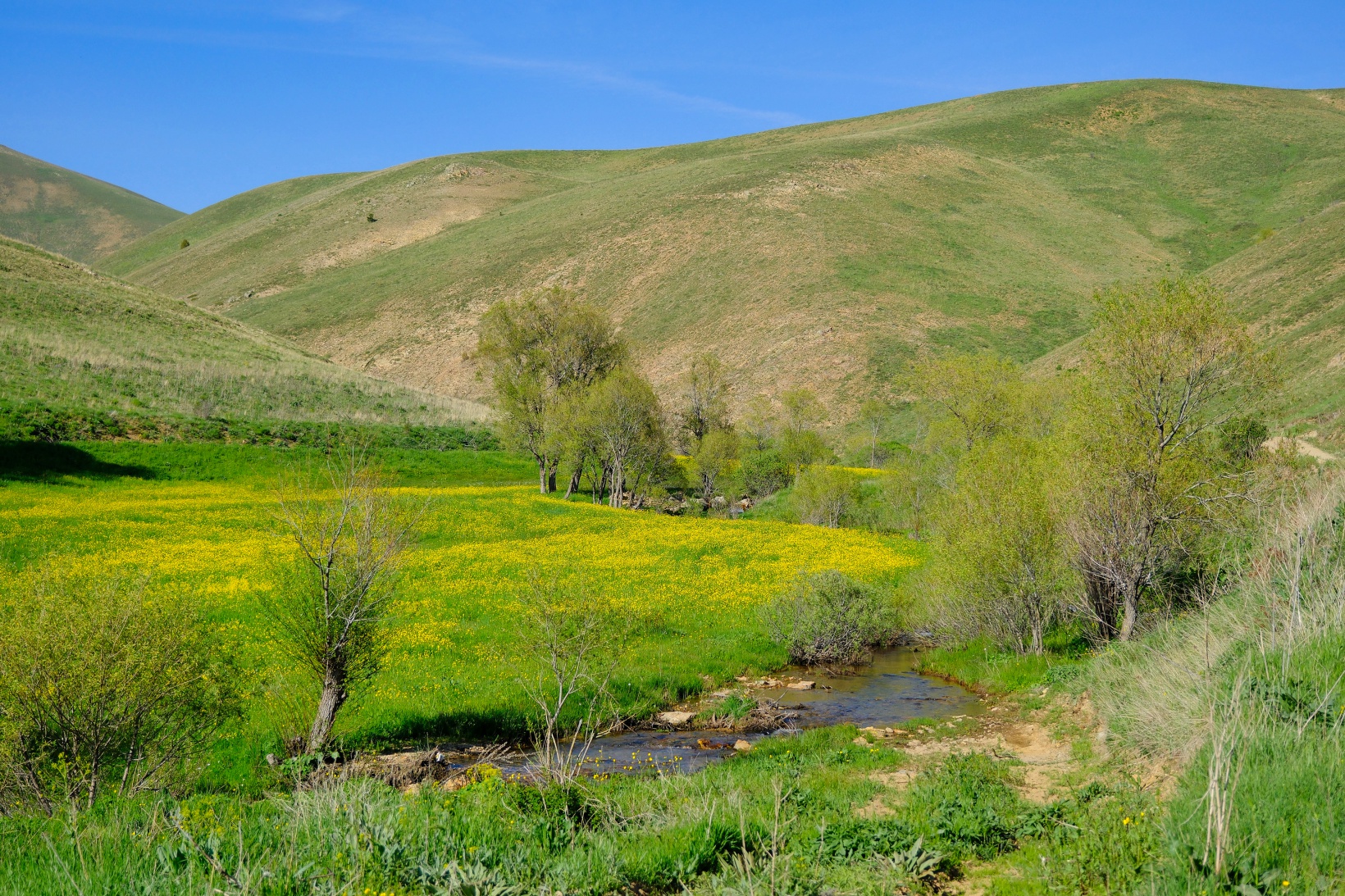 Bu manzarayı görebilmek için 10 gün kaldı 6