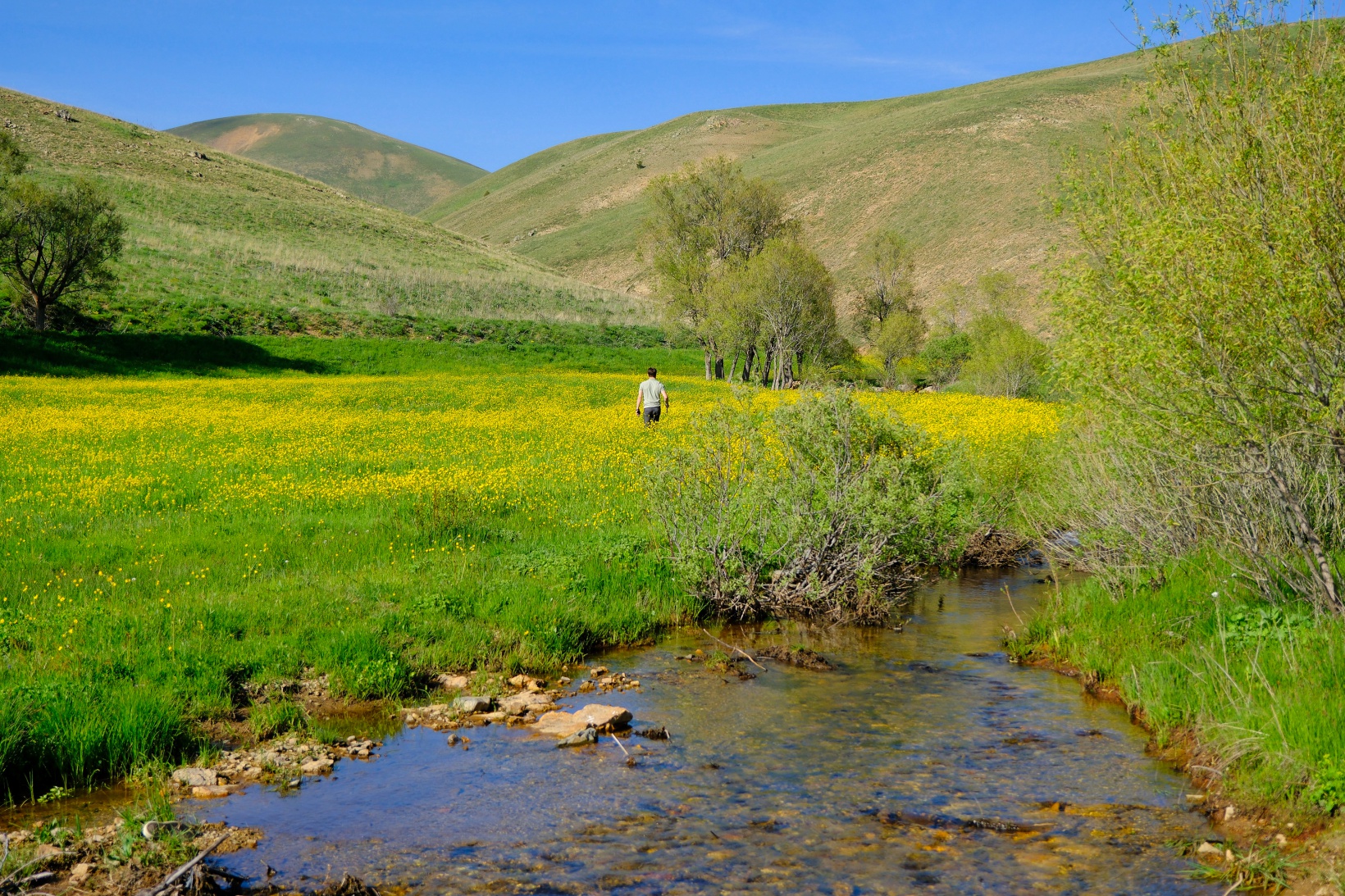 Bu manzarayı görebilmek için 10 gün kaldı 20