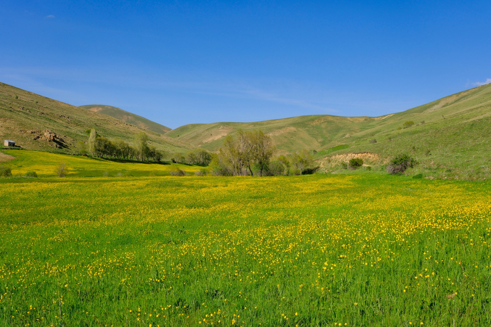 Bu manzarayı görebilmek için 10 gün kaldı 21