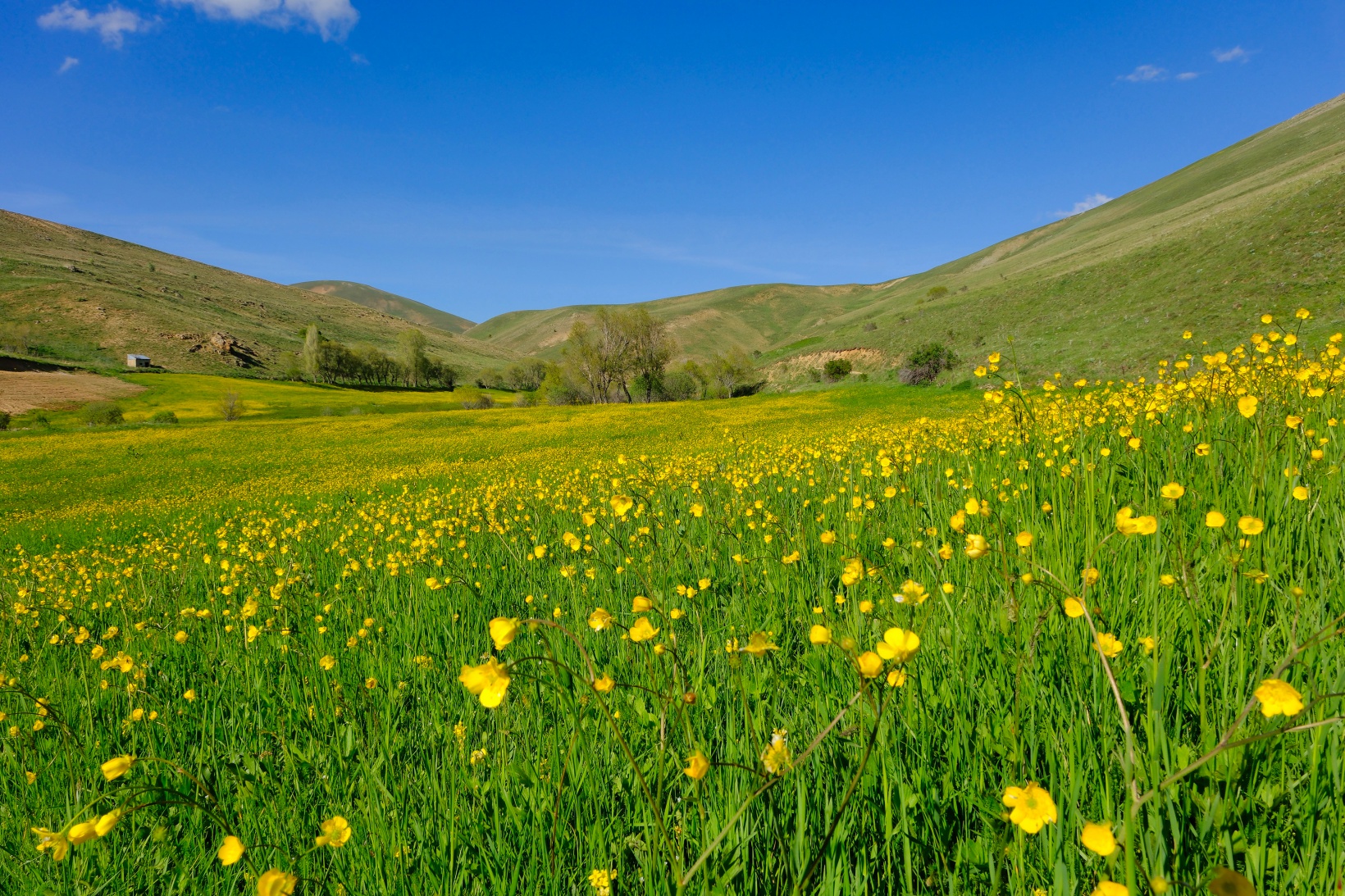 Bu manzarayı görebilmek için 10 gün kaldı 13