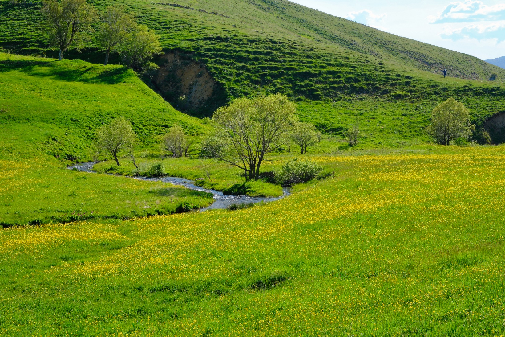Bu manzarayı görebilmek için 10 gün kaldı 27