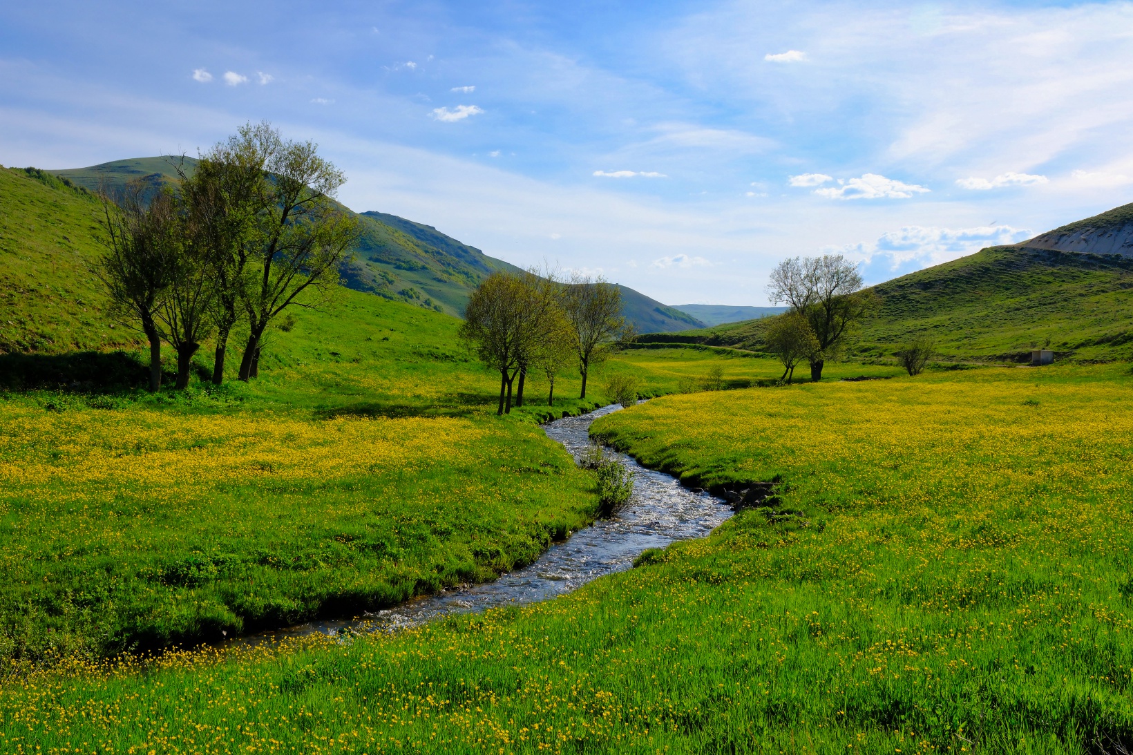 Bu manzarayı görebilmek için 10 gün kaldı 19