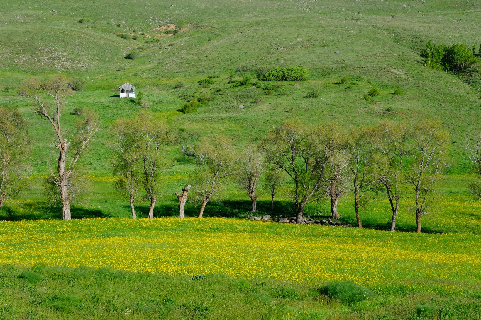Bu manzarayı görebilmek için 10 gün kaldı 24