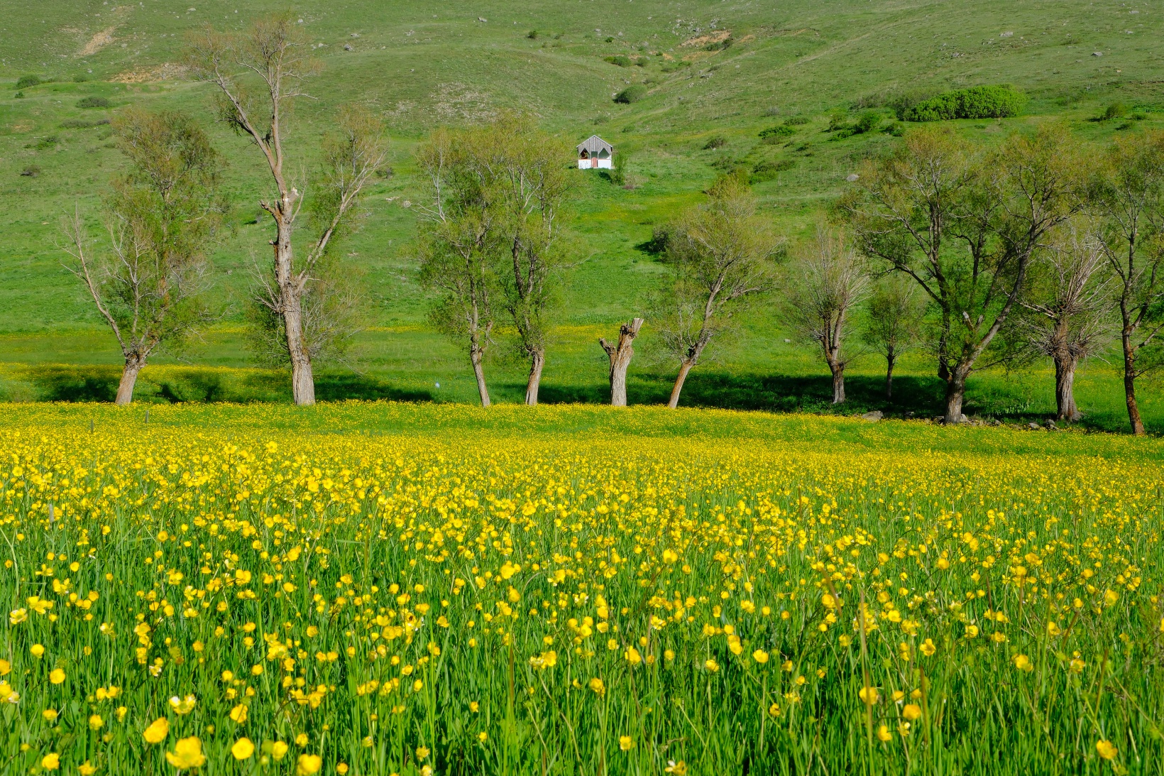 Bu manzarayı görebilmek için 10 gün kaldı 22