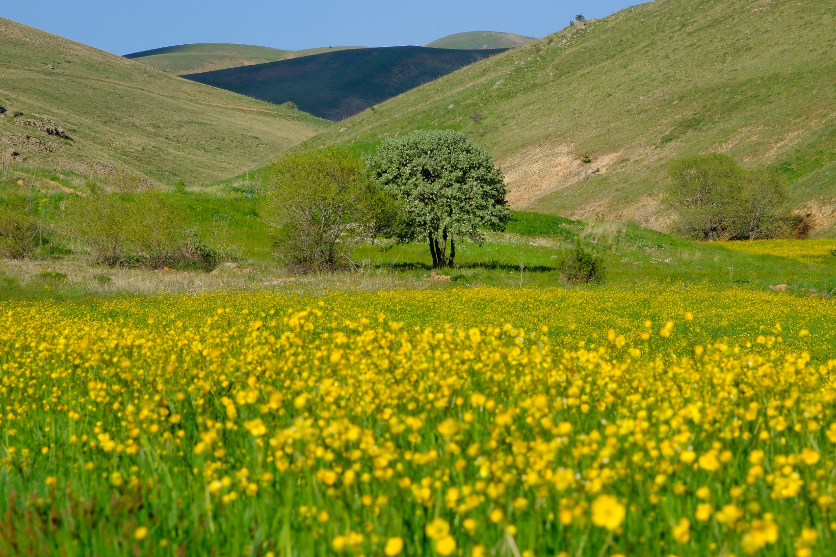 Bu manzarayı görebilmek için 10 gün kaldı 17