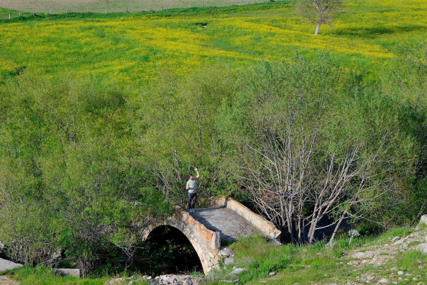 Bu manzarayı görebilmek için 10 gün kaldı 26