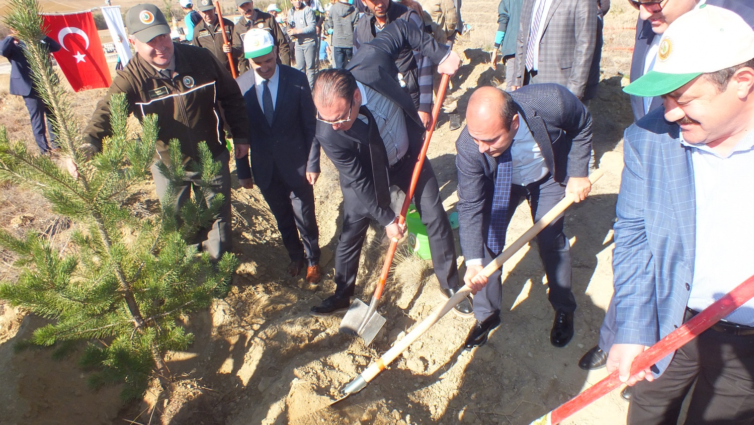 Kelkit’te 19 bin 550 öğrenci adına fidan dikildi 2