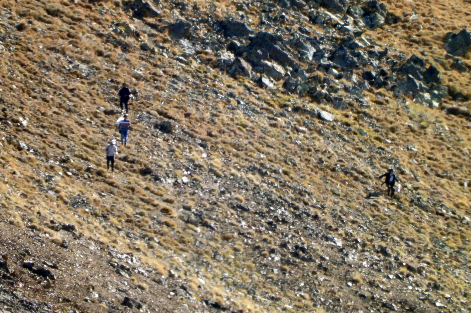 Artabel’de yaban keçisi avlayanlar suçüstü yakalandı 5