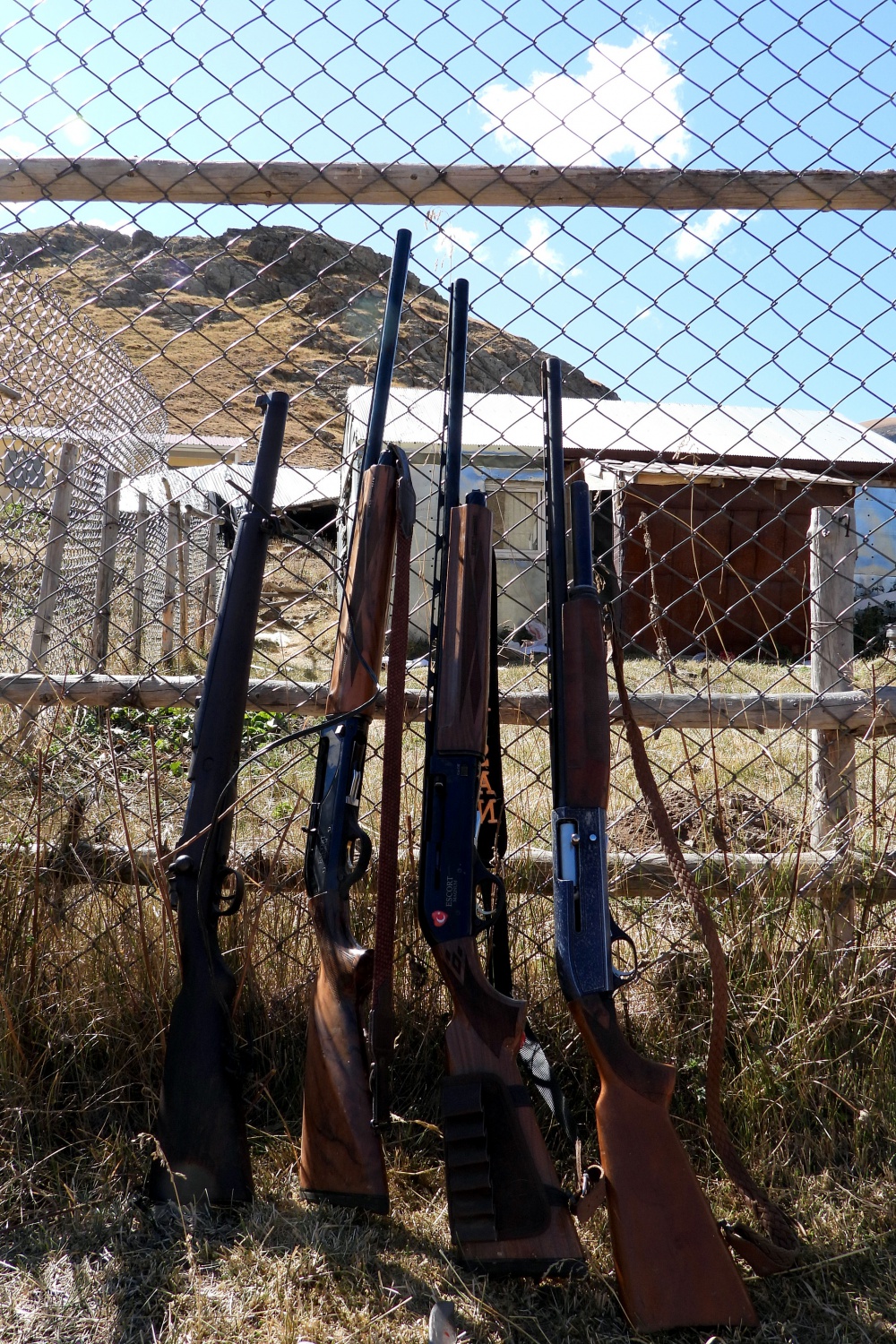 Artabel’de yaban keçisi avlayanlar suçüstü yakalandı 7