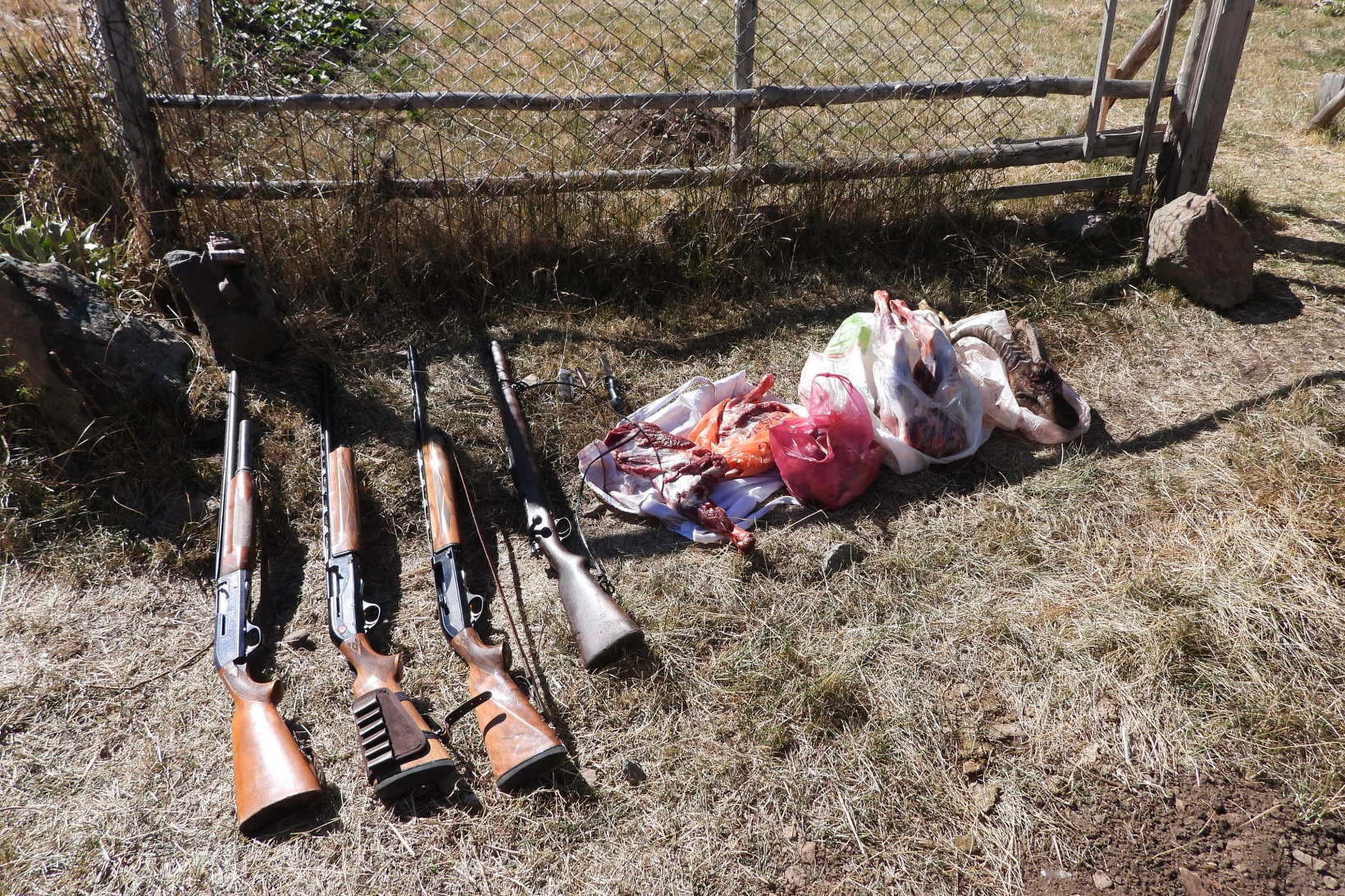 Artabel’de yaban keçisi avlayanlar suçüstü yakalandı 6