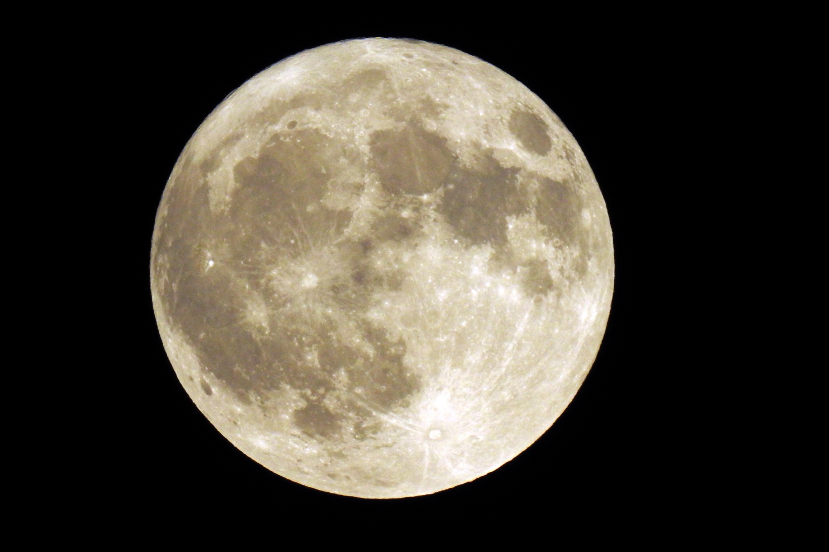 Mersinbalığı Ayı, Gümüşhane’de göz kamaştırdı 4