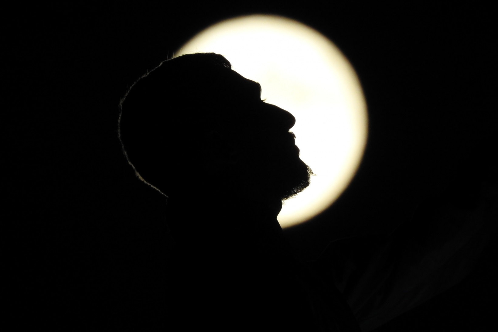 Mersinbalığı Ayı, Gümüşhane’de göz kamaştırdı 1