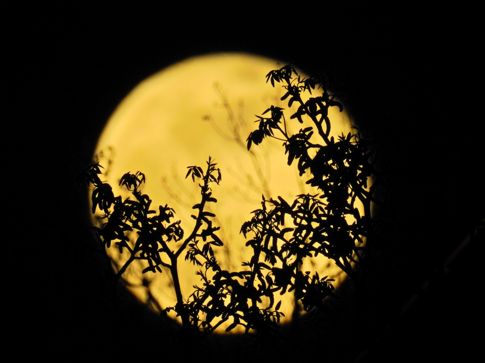 Gümüşhane’den enfes dolunay görüntüleri 3