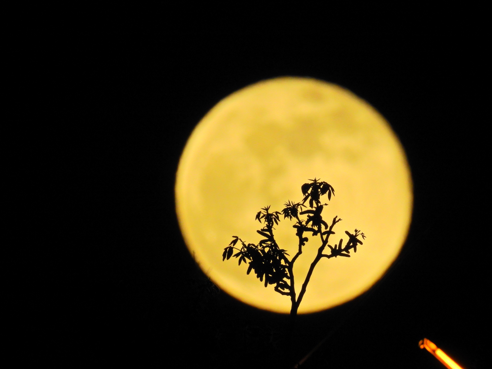 Gümüşhane’den enfes dolunay görüntüleri 5
