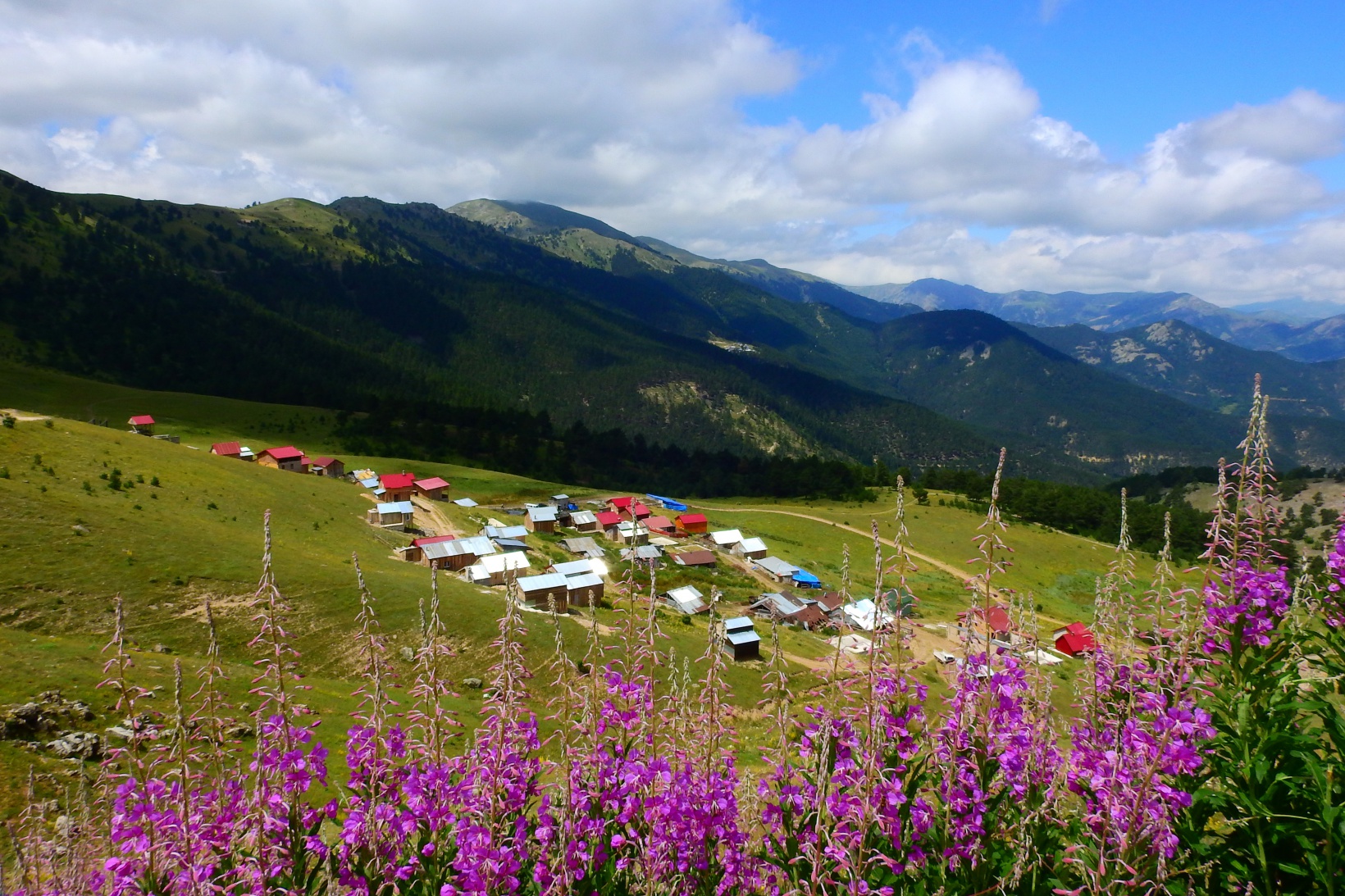 Şehrin stresinden uzaklaştılar 6