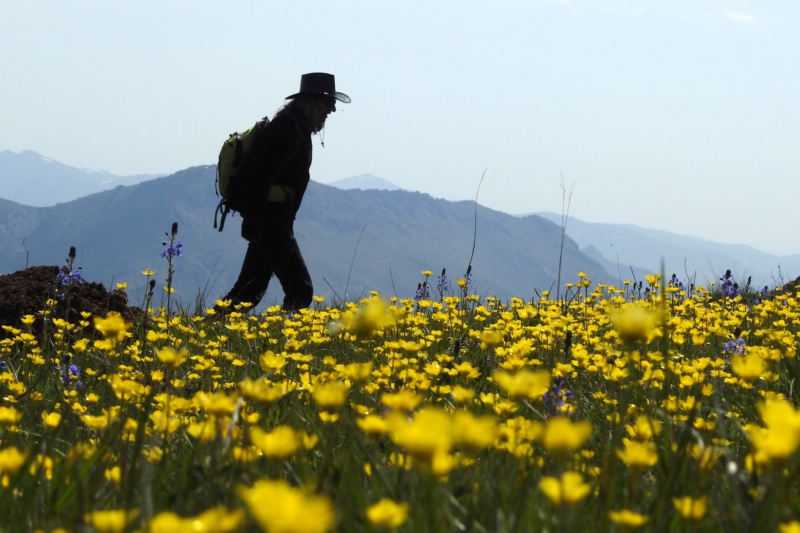 Baharla birlikte doğaya akın ettiler 1